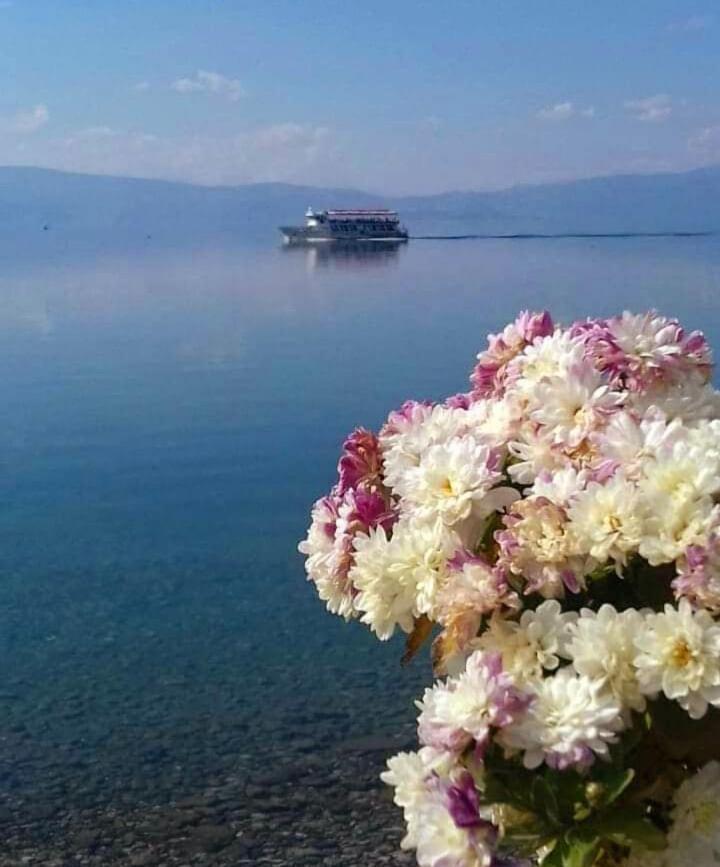 Apartmani Bakule Peštani Exterior foto